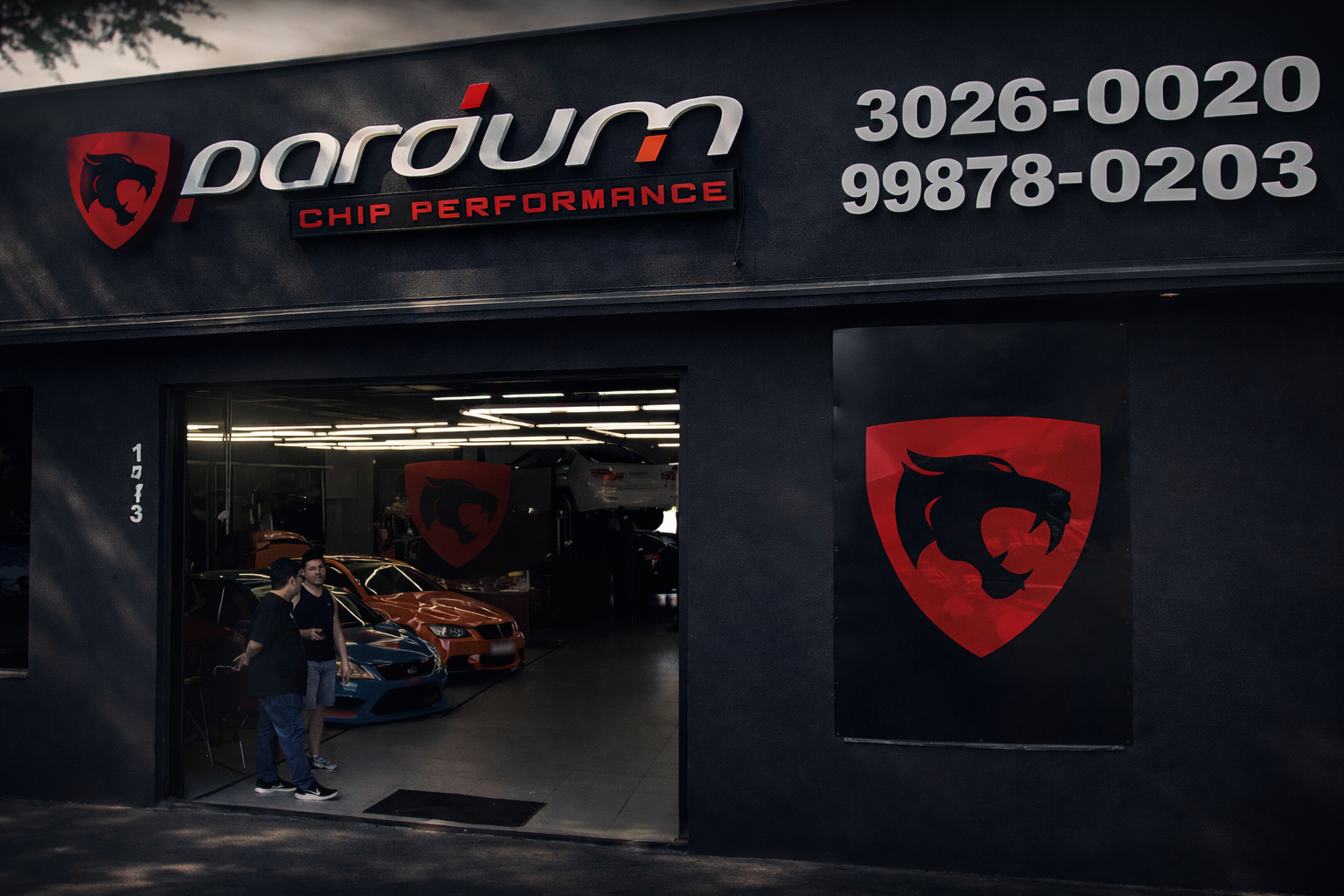 Fachada Pardum Chip Performance